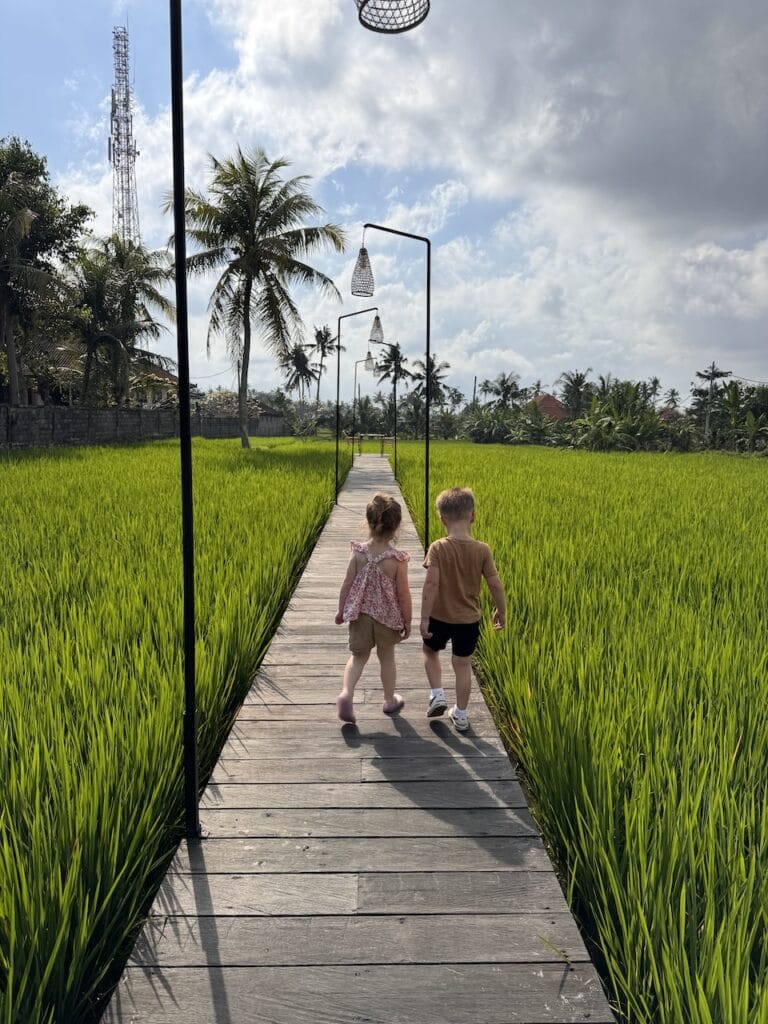 Children walking a wooden path through green rice paddies in Bali.