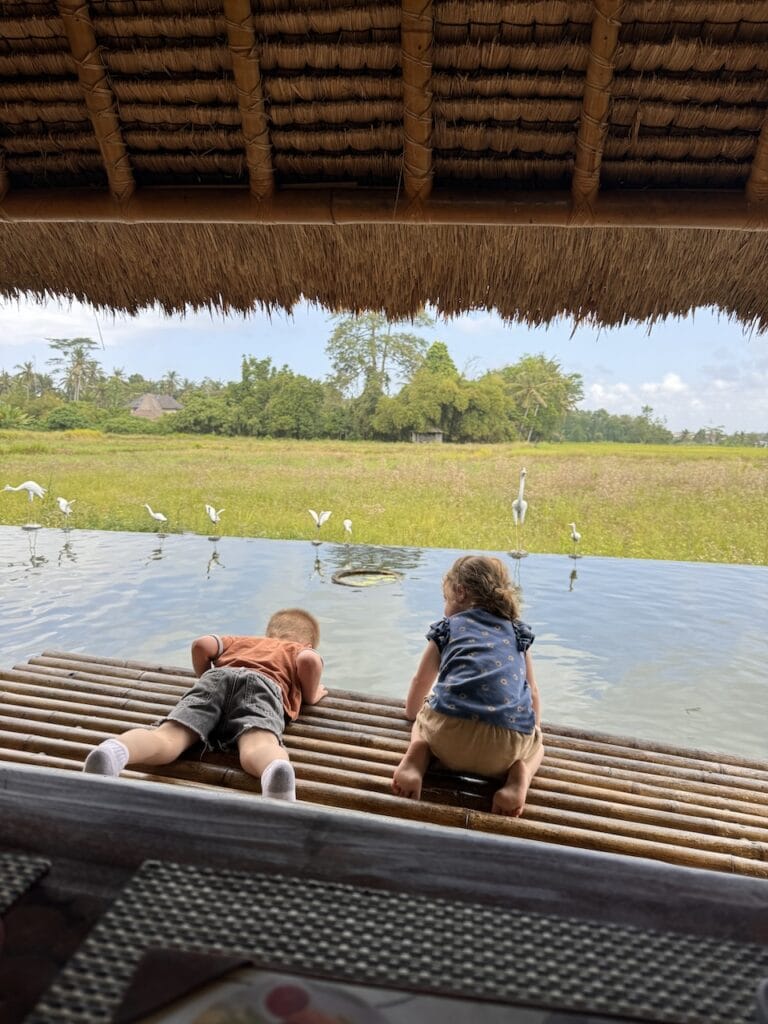 Two children watching birds beside a pond.