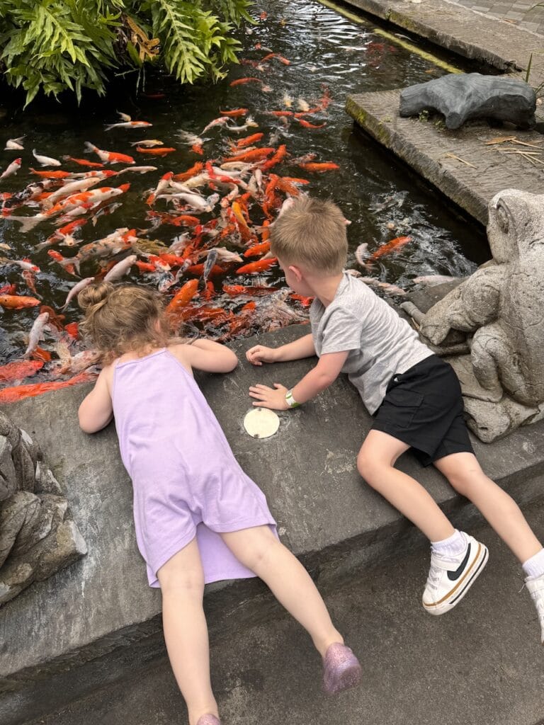 Two children looking at an orange koi pond.