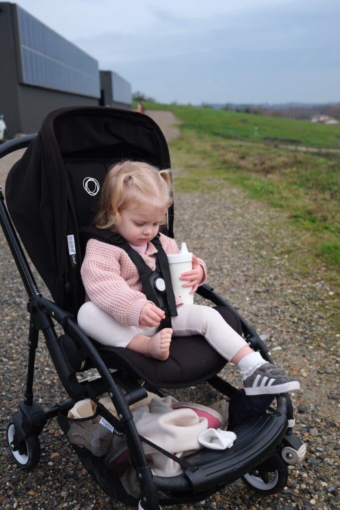 A toddler bundled up in a stroller.